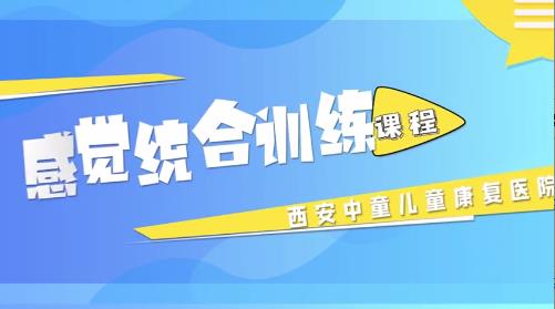 感觉统合训练