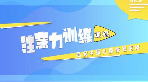 注意力训练