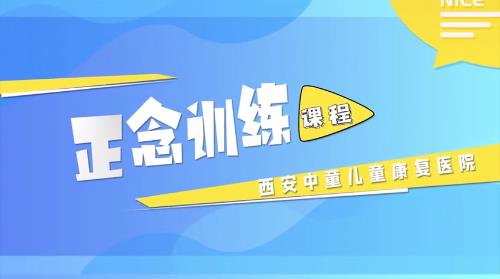 正念训练